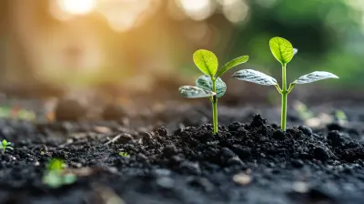 How Peer-to-Peer Lending Platforms are Changing the Credit Landscape