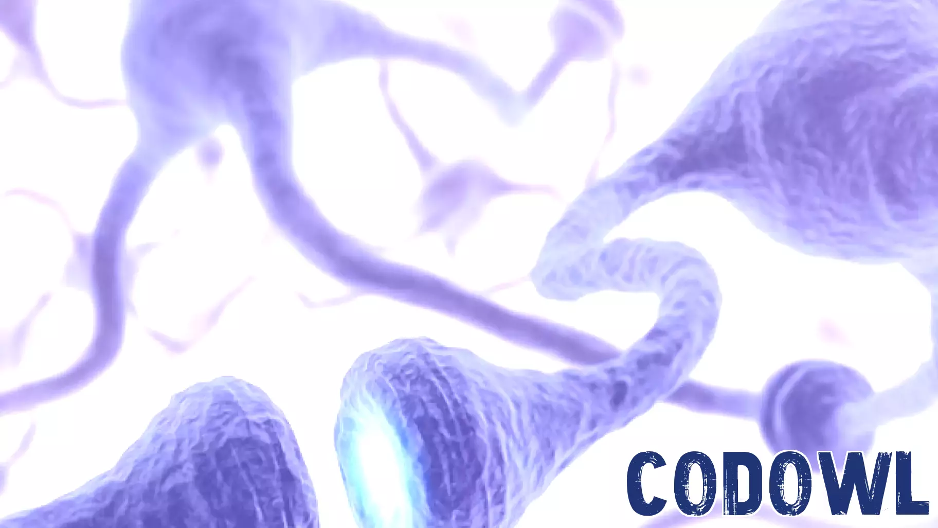 Advanced Bionic Skin Technology Enhances Tactile Recognition