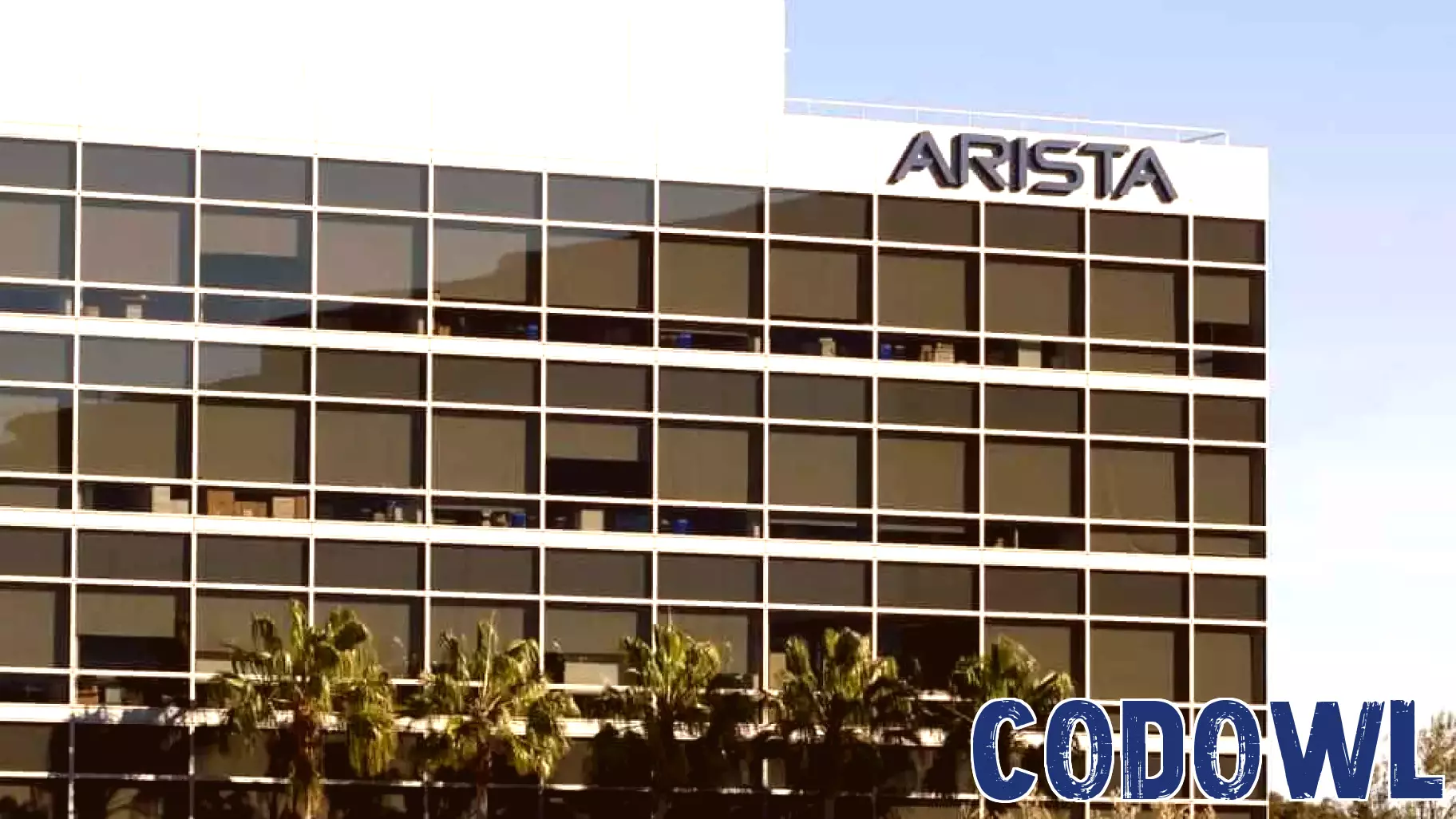 After a Robust Surge in Share Prices, Is Arista Networks an Outperformer in the Tech Sector?