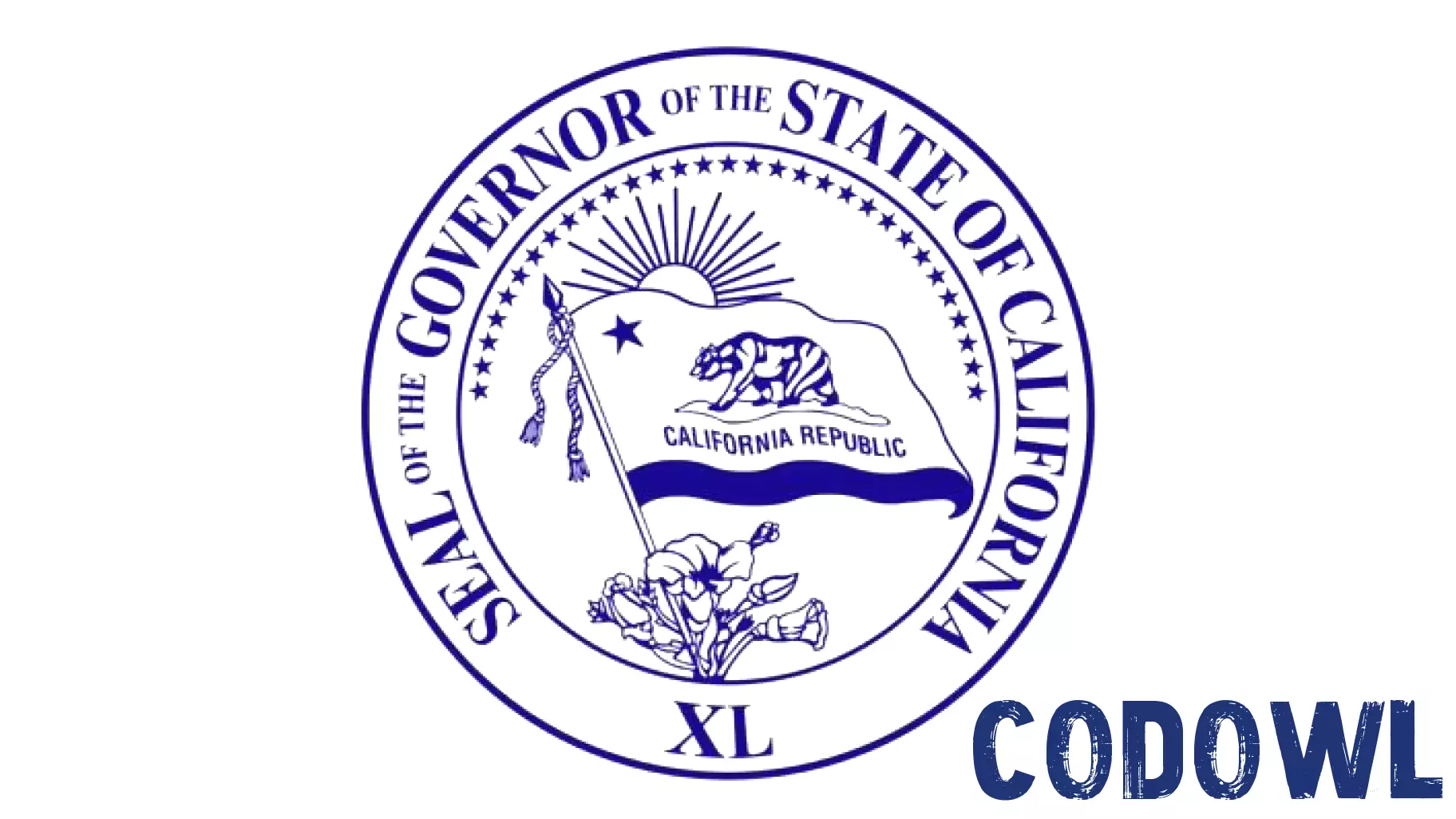 California Enhances Firefighting Strategies One Year Post-LA Fires