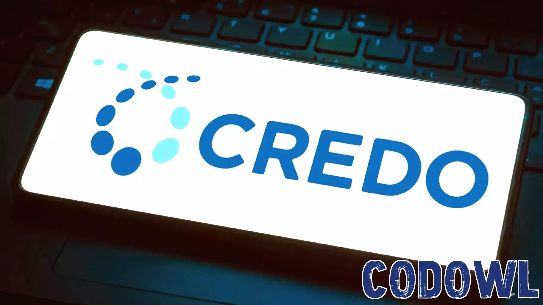Credo Technology Stock Sinks. Why 157% Revenue Growth Isn’t Enough for the AI Era.
