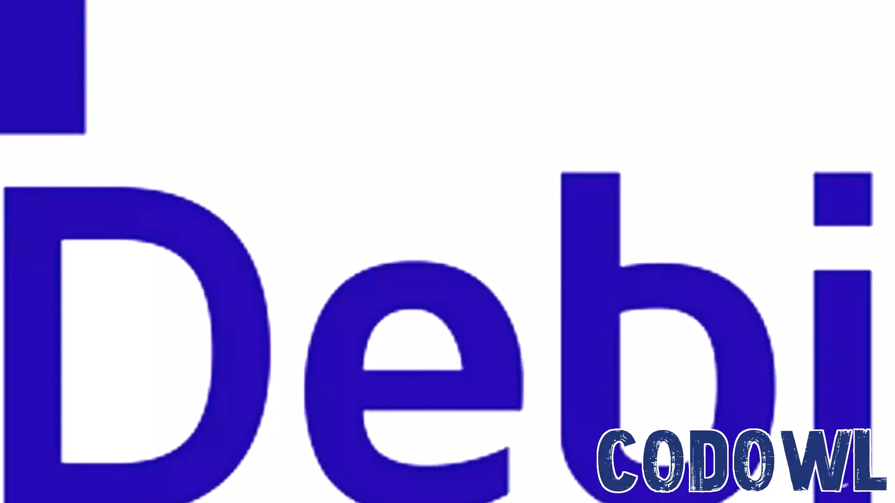 Debia Enters a New Era of Growth with Strategic Investment from Newland Digital Technology