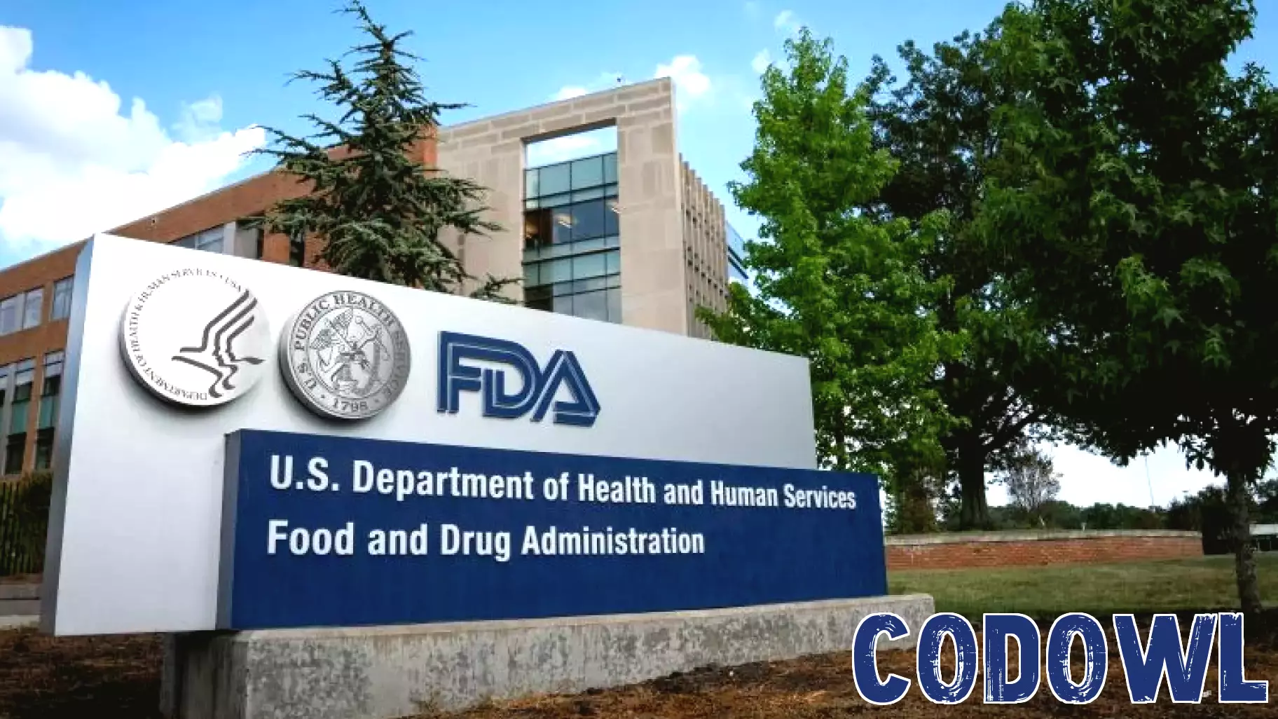 Examining Food Safety Through Regulation and Technology