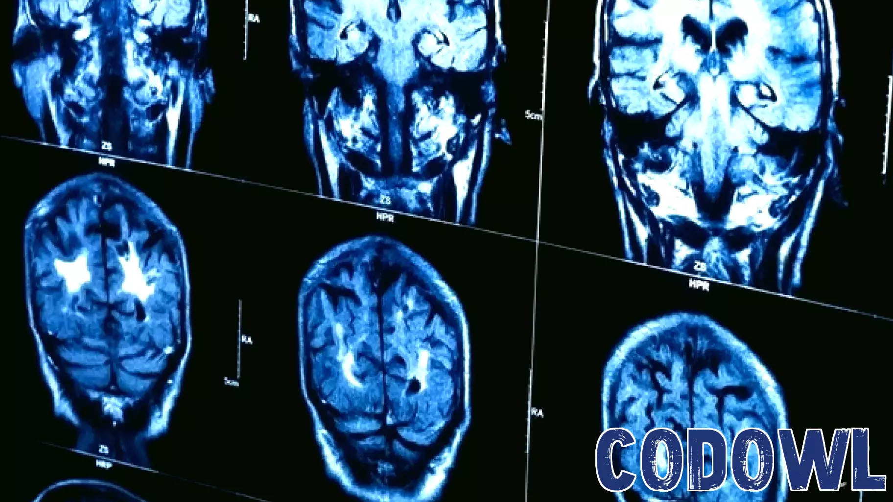 Groundbreaking 3D Imaging Technology Set to Transform Medical Diagnostics