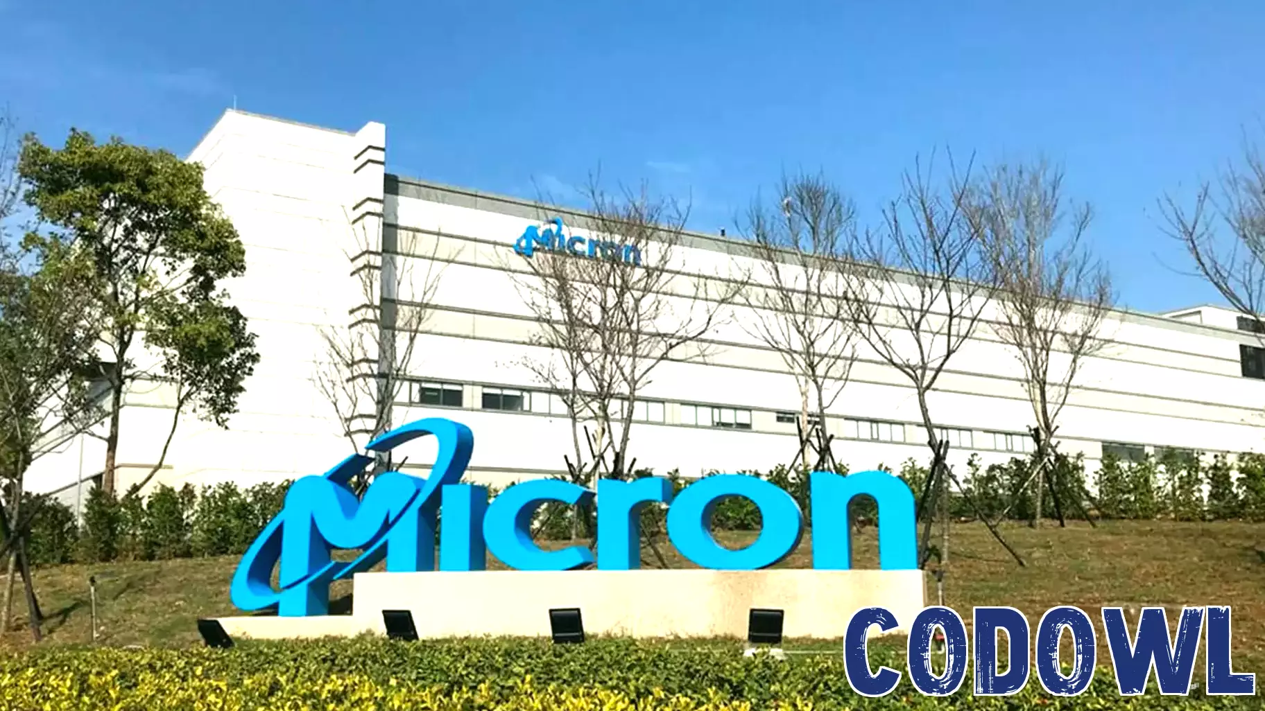 How Micron Technology Stock Soared 45% Last Month