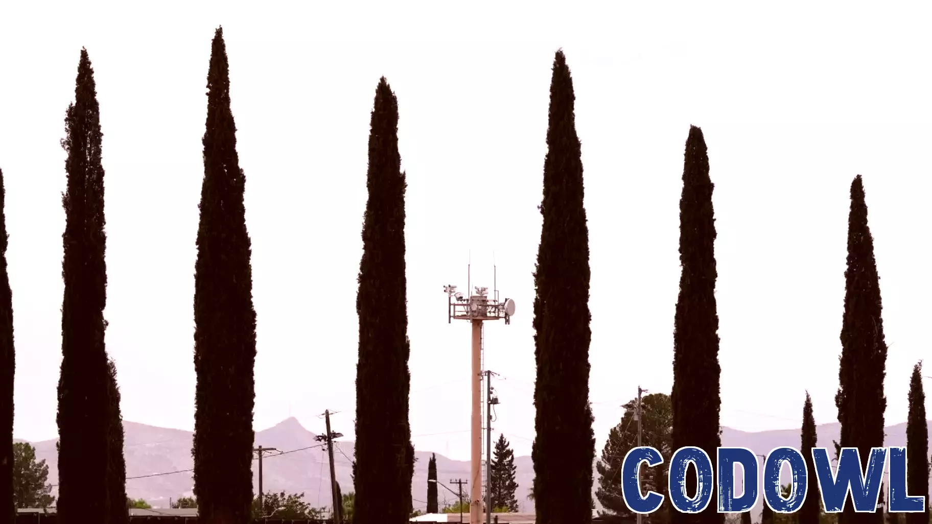 Immigration Border Wall Technology