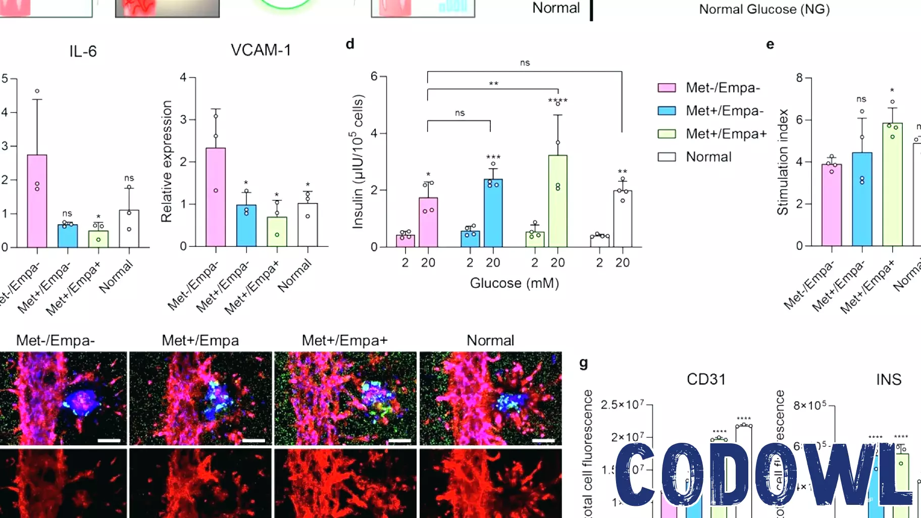 Innovative 3D Bioprinting Technology Mimics Pancreatic Functions for Diabetes Treatment