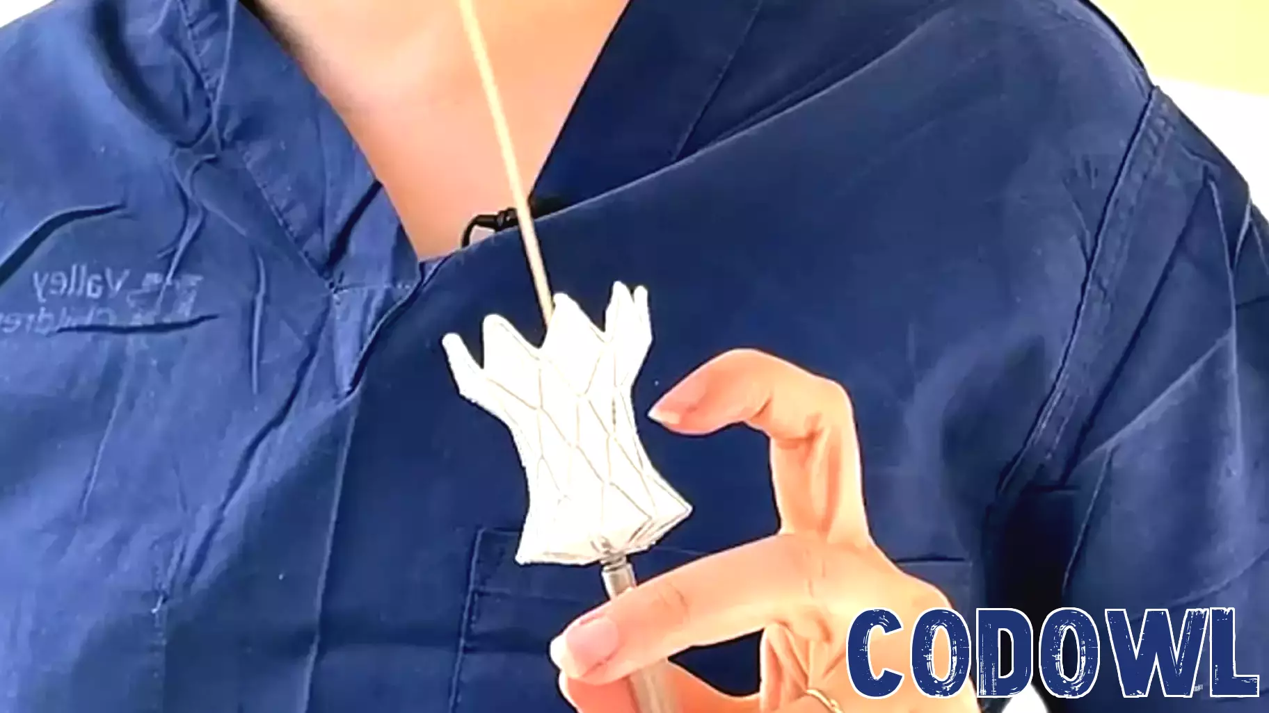 Innovative Medical Technology Aids Young Patients in Avoiding Open-Heart Surgery