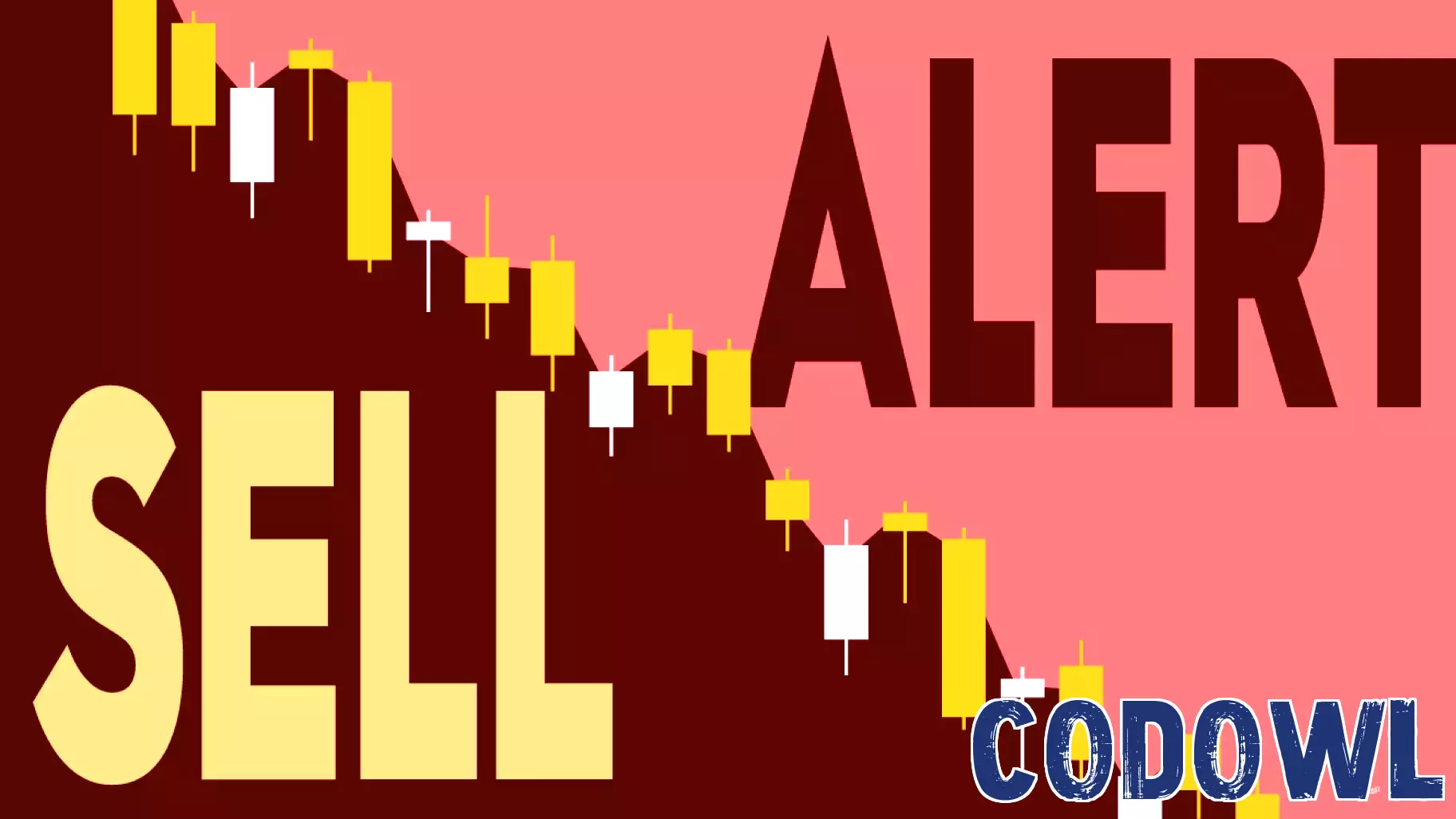 Insider Trading Alert: Significant Share Sale by GigaCloud Technology's COO