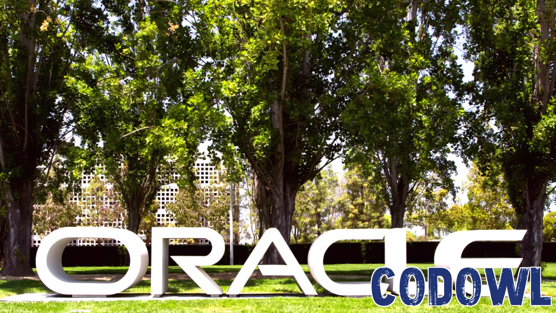 Is Oracle Corporation (ORCL) The Best Stock In Technology Sector?