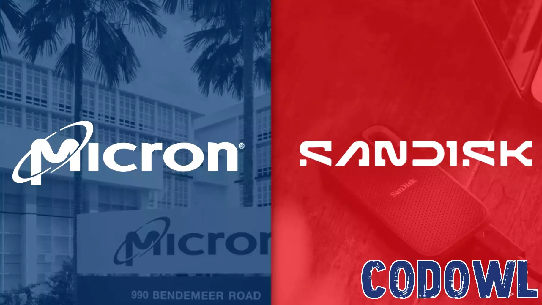 Micron and Sandisk Shares Slide: A Buying Opportunity or a Trap?