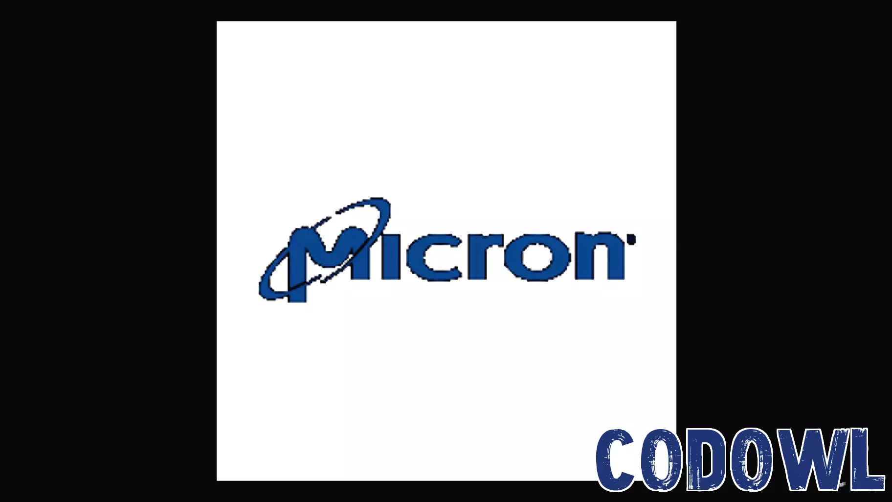 Micron Technology's Record Earnings Spark Enthusiasm Among Investors