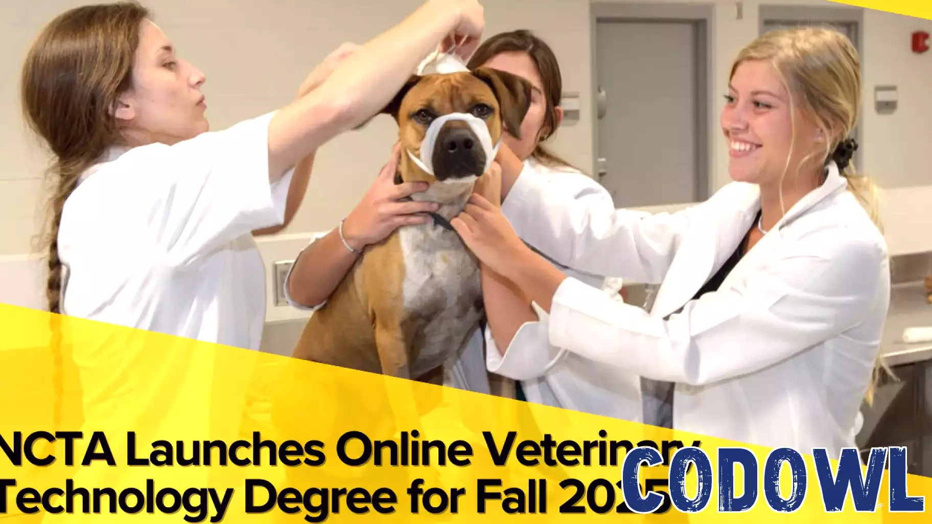 NCTA to Introduce Fully Online Veterinary Technology Degree in Fall 2025
