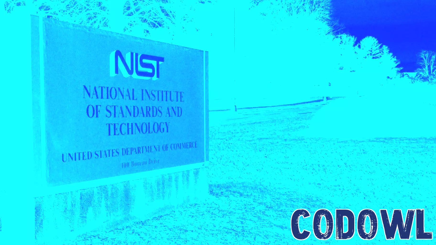 NIST Faces Significant Job Cuts Amid Ongoing Purge