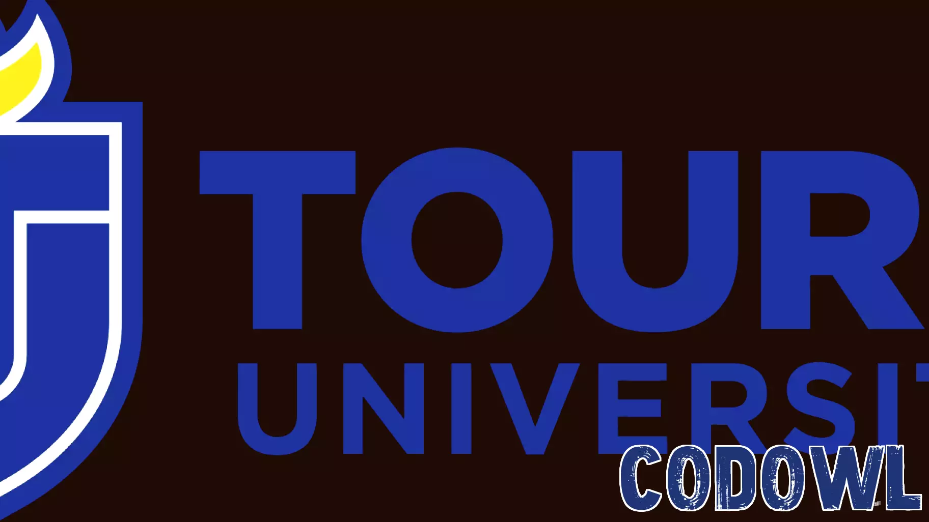Online Information Session for Graduate Technology Programs