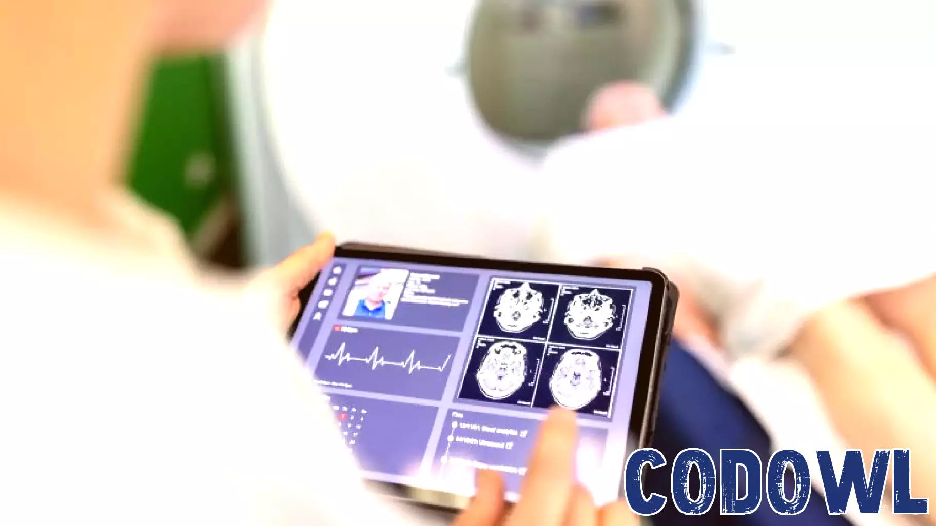 Progress in Harmonising Health Technology Assessments: A Gradual Journey