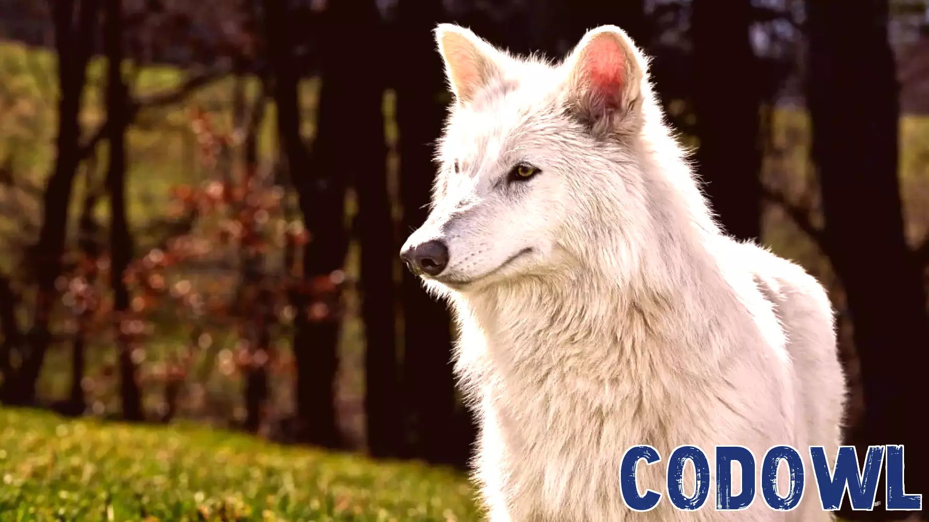 Reviving the Dire Wolf and Protecting AI Companions