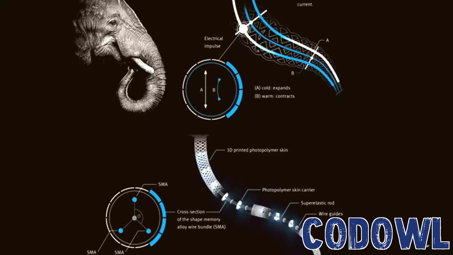 Unveiling the Technology Driving Fluid Robot Motion