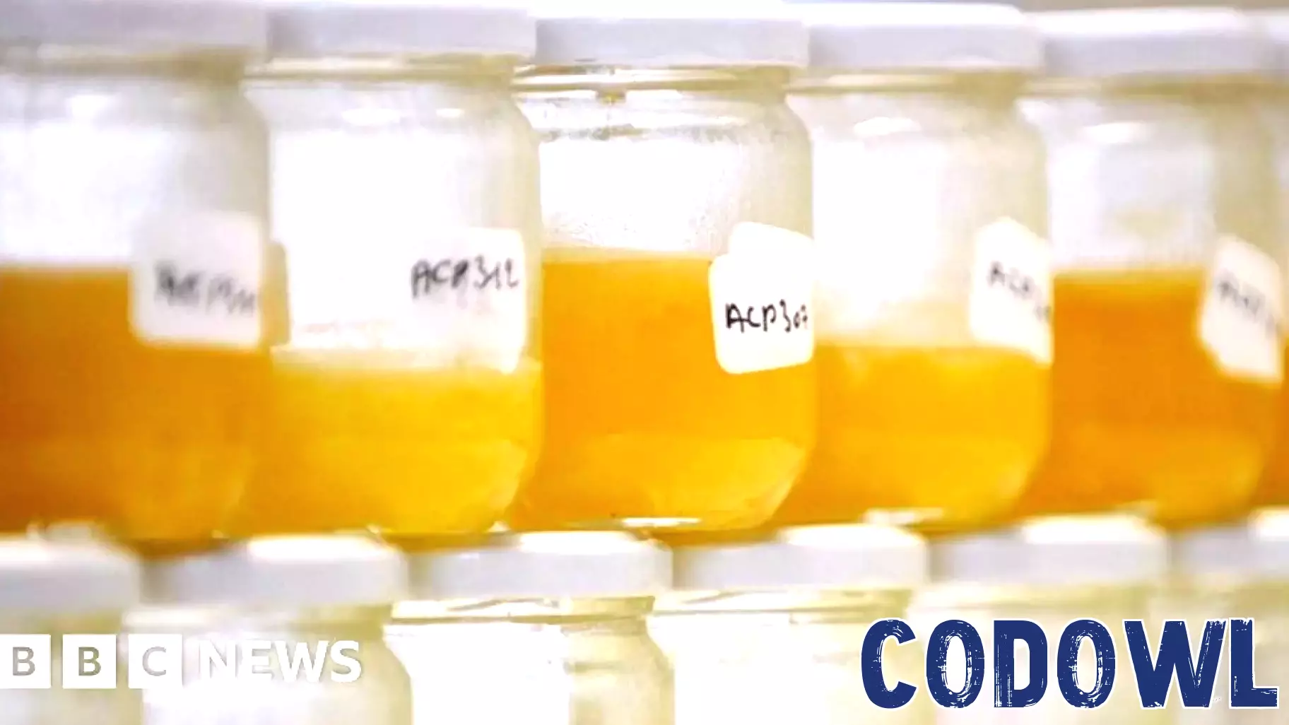 Why food fraud persists, even with improving tech