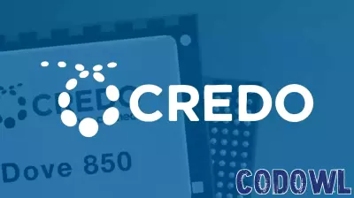 Credo Technology's Next Three Years: Growth Hinges on Key Customers