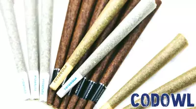Futurola Revolutionizes Rolling Technology with Innovative Solutions