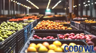 Innovations Driving the Food Processing Industry Forward