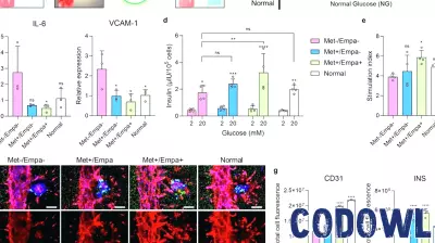 Innovative 3D Bioprinting Technology Mimics Pancreatic Functions for Diabetes Treatment