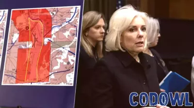 Lawmakers Seek Accountability Following Tragic Mid-Air Collision in D.C.