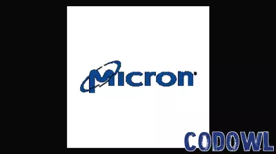Micron Technology's Record Earnings Spark Enthusiasm Among Investors