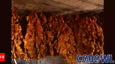 NIRCA Introduces Sustainable Tobacco Curing Technology