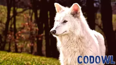 Reviving the Dire Wolf and Protecting AI Companions