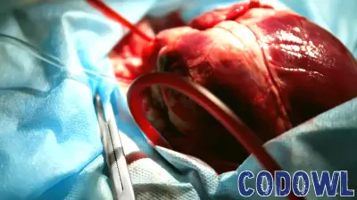 Revolutionary Soft Robotics Set to Transform Artificial Heart Technology