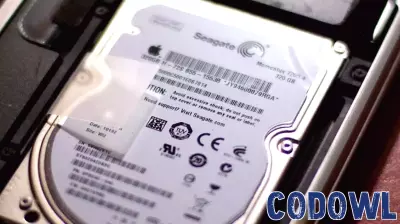 Seagate Technology Holdings Shareholders Experience Mixed Results