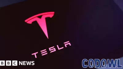 Tesla's Self-Driving Technology Linked to Fatal Florida Accident