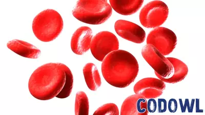 Transforming Blood Diagnostics with Innovative QPM Technology