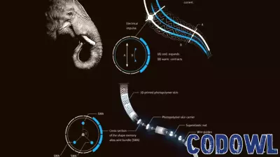 Unveiling the Technology Driving Fluid Robot Motion